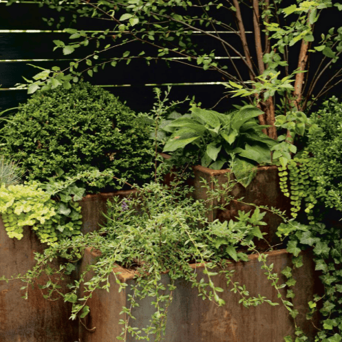 Corten Steel Heavy Planter For Outdoor Plants
