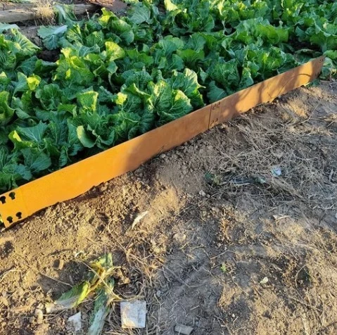 lawn edging material steel lawn edging material steel