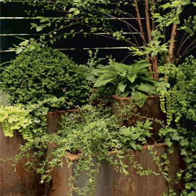 Corten Steel Heavy Planter For Outdoor Plants